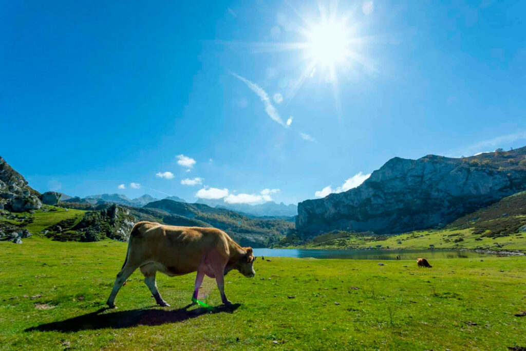 Ciudades del norte de España donde vivir.